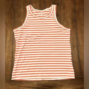 Everlane striped tank